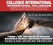 INTERNATIONAL-COLLOQUIUM- COLLOQUE-INTERNATIONAL-Violence in Africa new stakes, new perspectives