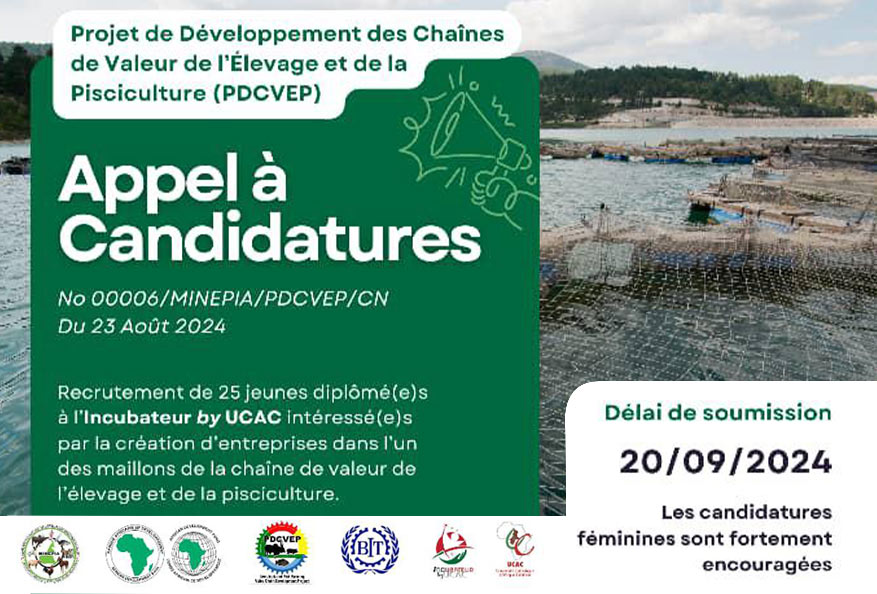 Appel à candidatures du Ministère de l’Élevage, des Pêches et des Industries Animales (MINEPIA) du Cameroun