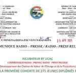 Liste de la première cohorte de 275 jeunes diplômés retenus
