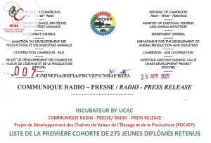 Liste de la première cohorte de 275 jeunes diplômés retenus