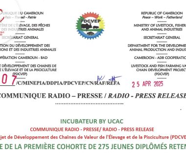 Liste de la première cohorte de 275 jeunes diplômés retenus
