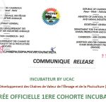 Rentrée Officielle 1ere Cohorte Incubation - Projet de Développement des Chaînes de Valeur de l'Élevage et de la Pisciculture (PDCVEP)