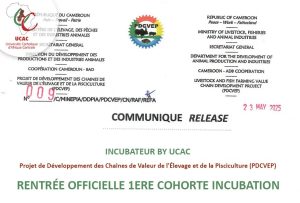 Rentrée Officielle 1ere Cohorte Incubation - Projet de Développement des Chaînes de Valeur de l'Élevage et de la Pisciculture (PDCVEP)