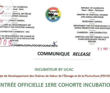 Rentrée Officielle 1ere Cohorte Incubation - Projet de Développement des Chaînes de Valeur de l'Élevage et de la Pisciculture (PDCVEP)